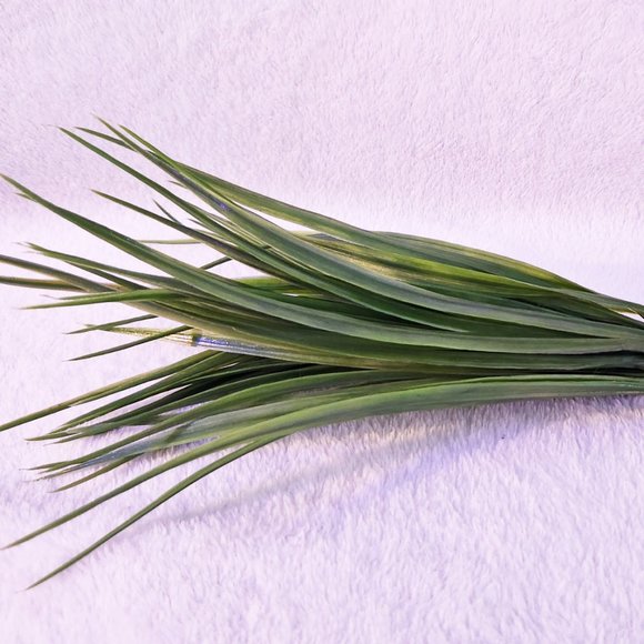 Vickerman Accents Spike Artificial Grass Bush Greenery Poshmark